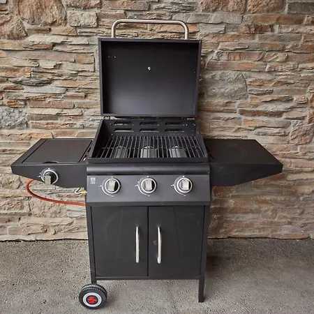 Panorama シャレー *